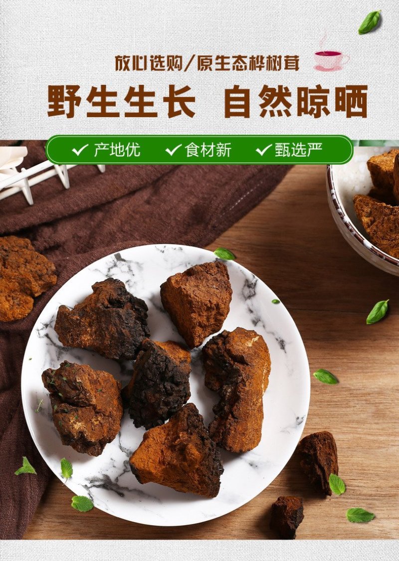 桦树茸