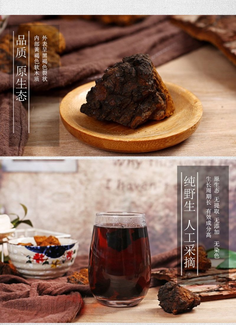 桦树茸