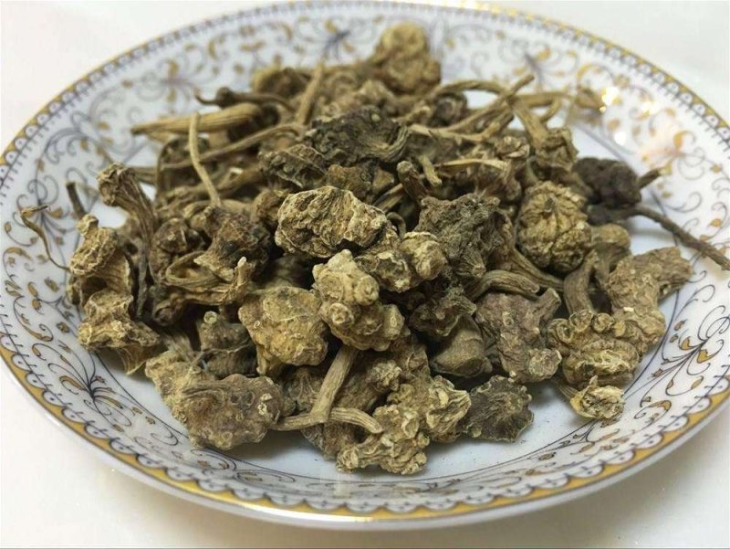 中药材珠子参扣子七