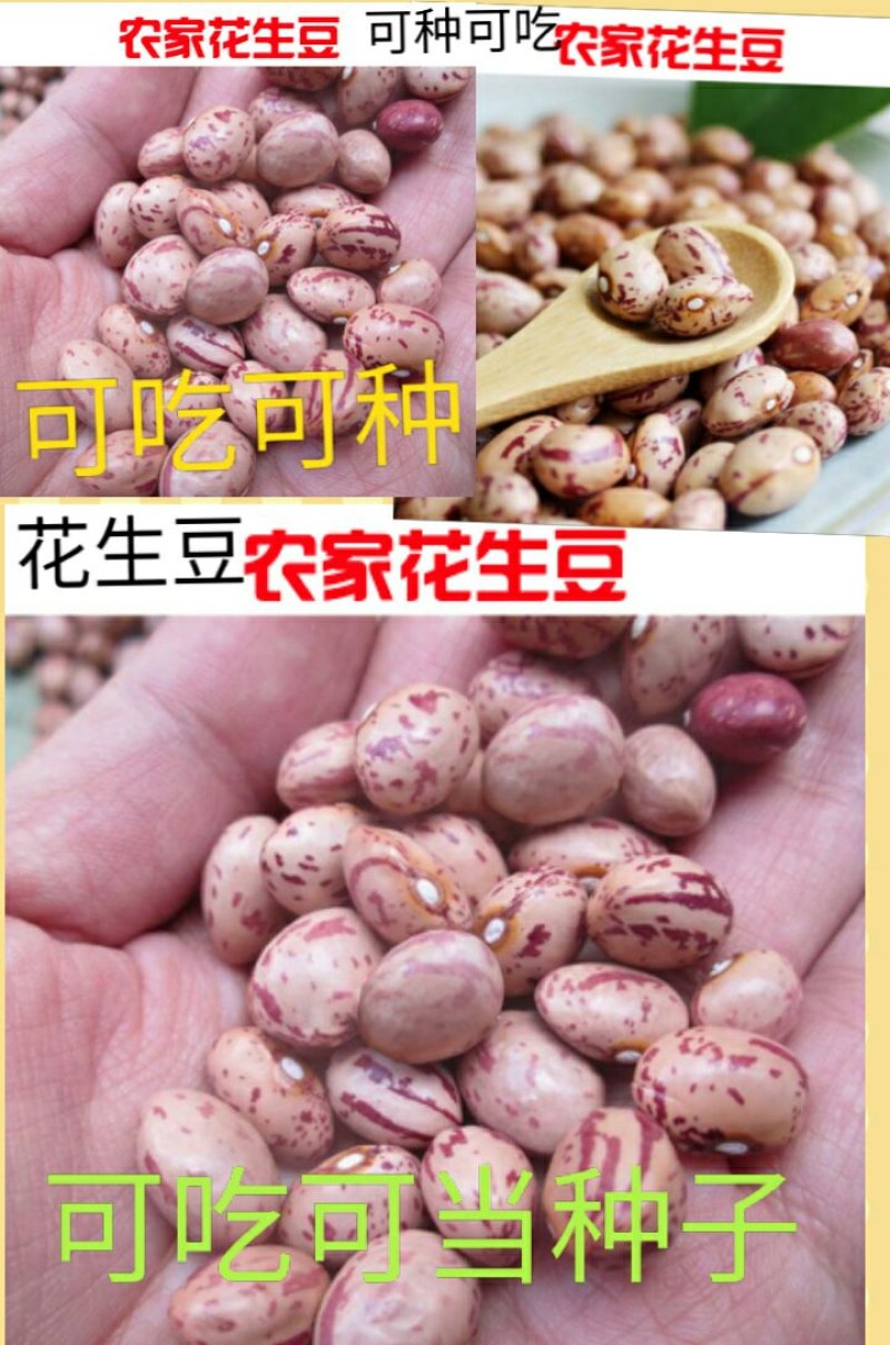饭豆五谷杂粮饭豆熬粥必备美食饭豆粗粮有益健康包邮