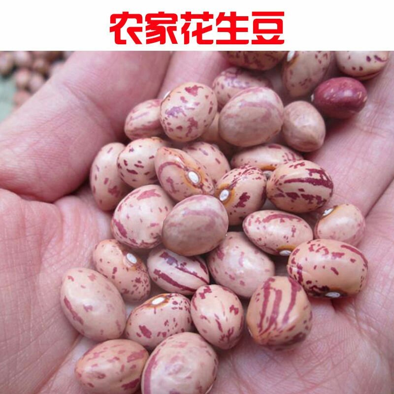 饭豆五谷杂粮饭豆熬粥必备美食饭豆粗粮有益健康包邮