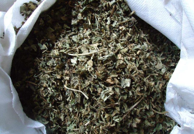 零陵香灵香草批发零售量大从优