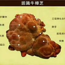 中药材