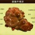 中药材