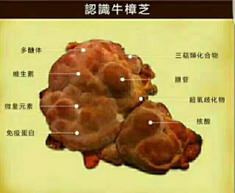 中药材
