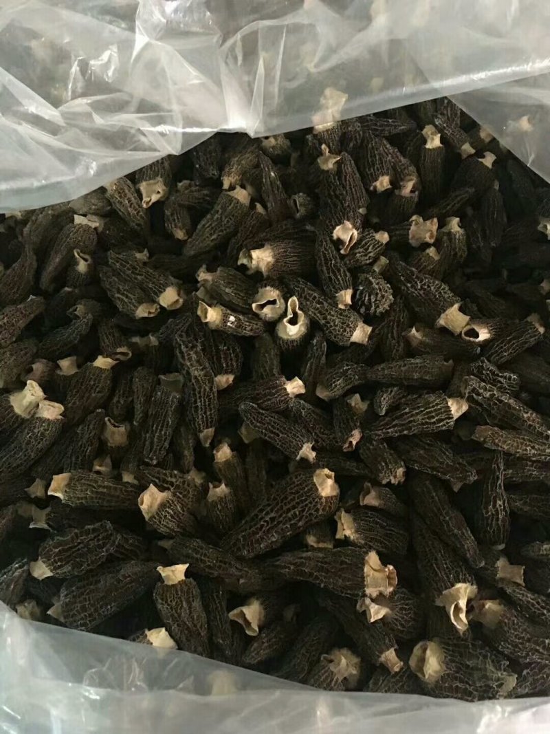 羊肚菌A级货肉厚