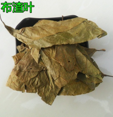 布渣叶破布叶无硫净货批发零售冷背中药材