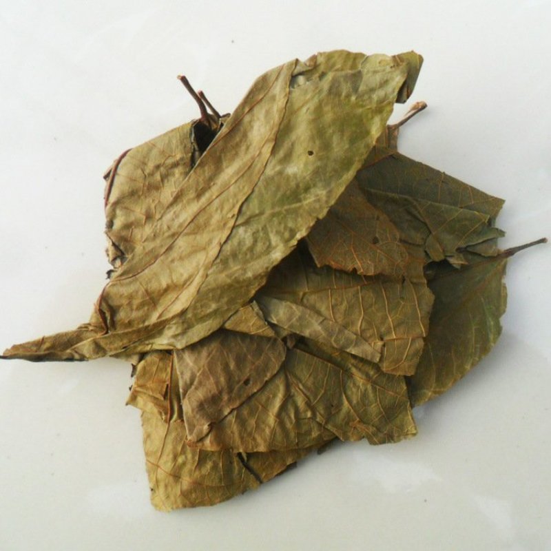 布渣叶破布叶无硫净货批发零售冷背中药材