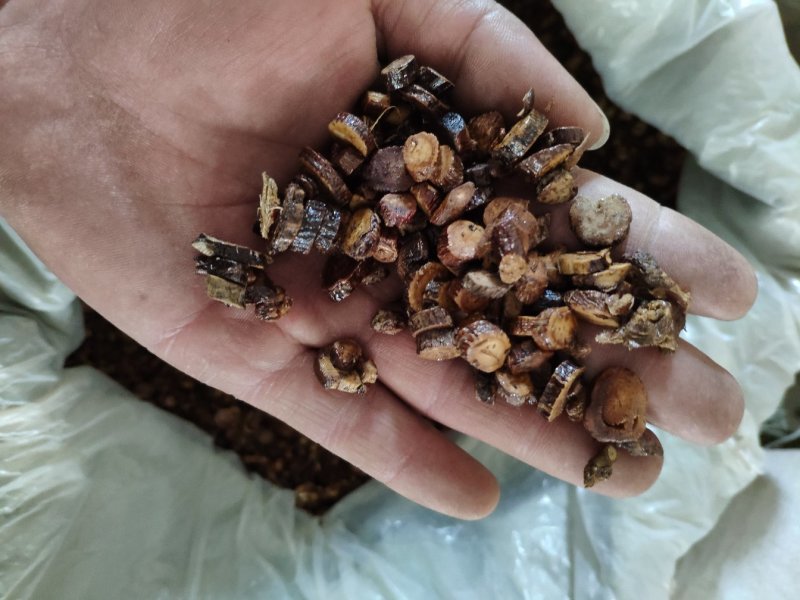 甘草红皮甘草产地甘肃生制都有货货好量大