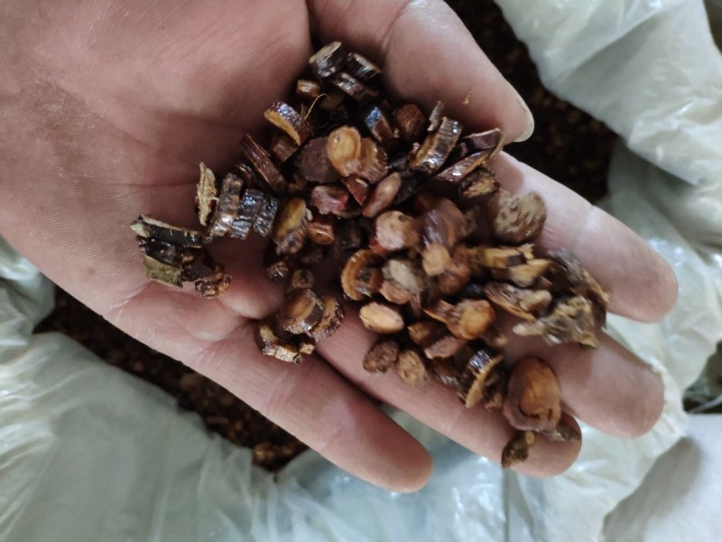 甘草红皮甘草产地甘肃生制都有货货好量大