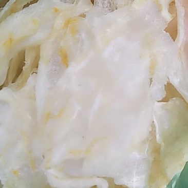 片鱼肚