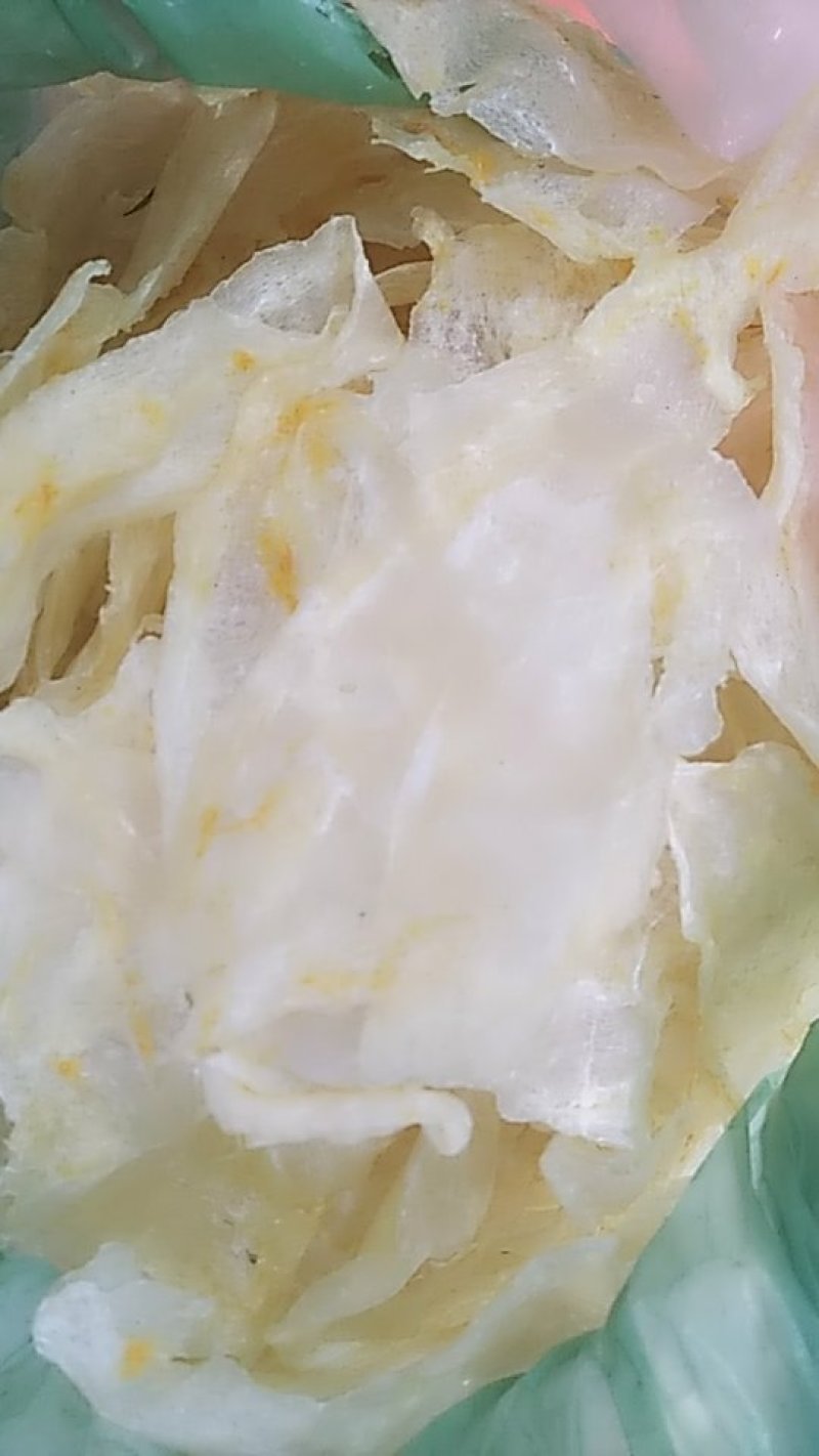 片鱼肚