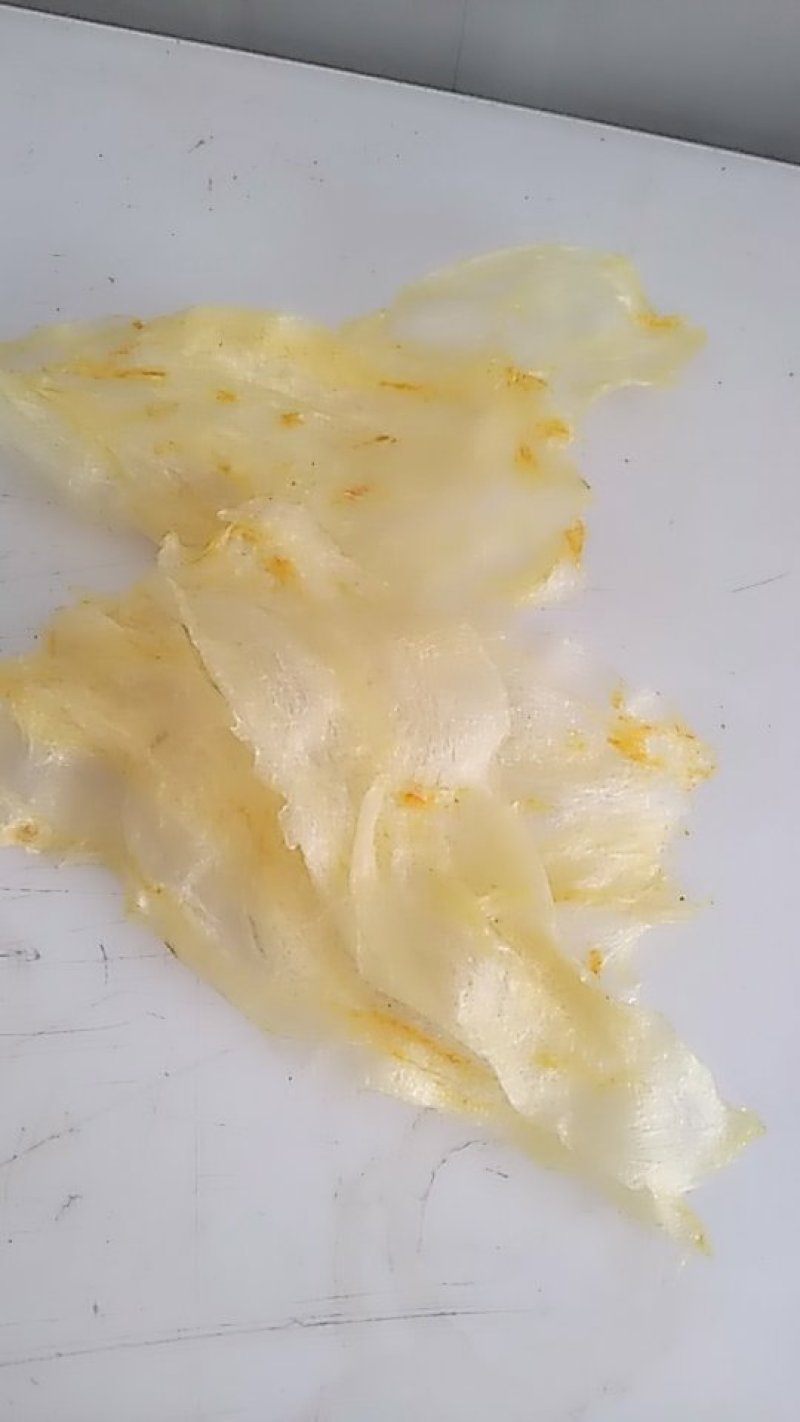 片鱼肚