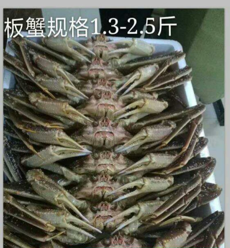 朝鲜红毛蟹，板蟹，籽蟹