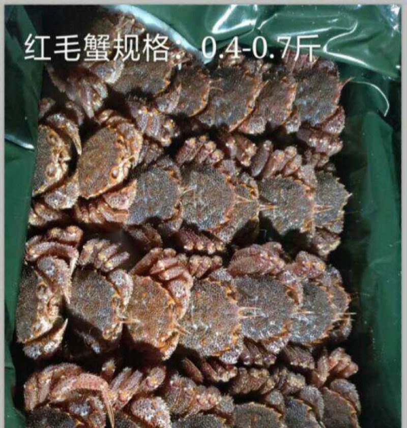 朝鲜红毛蟹，板蟹，籽蟹