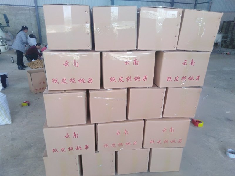 云南大理鸡山纸皮核桃