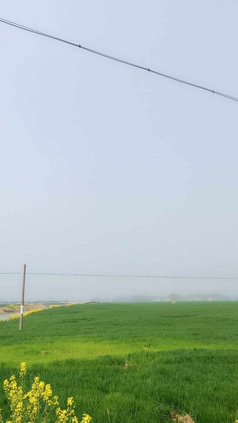皖北地区土地出租流转承包村委招租