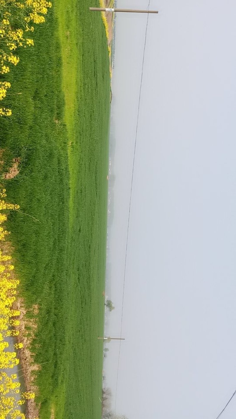 皖北地区土地出租流转承包村委招租