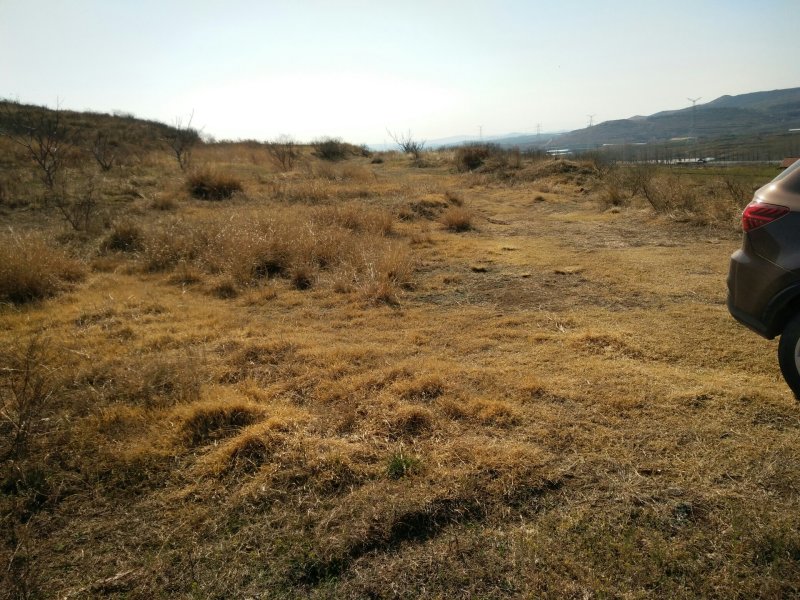 独立山头，山地