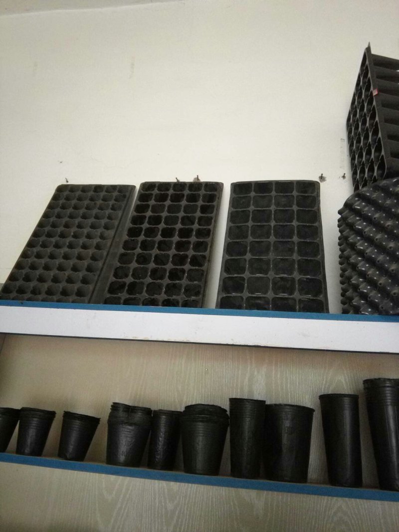 供应各育苗容器，营养钵，营养袋，嫁接膜等