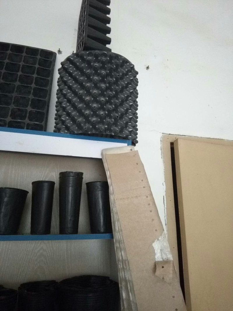 供应各育苗容器，营养钵，营养袋，嫁接膜等