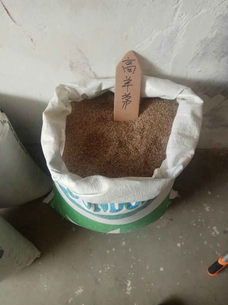 批发各林木种子，草坪种子，花卉种子，