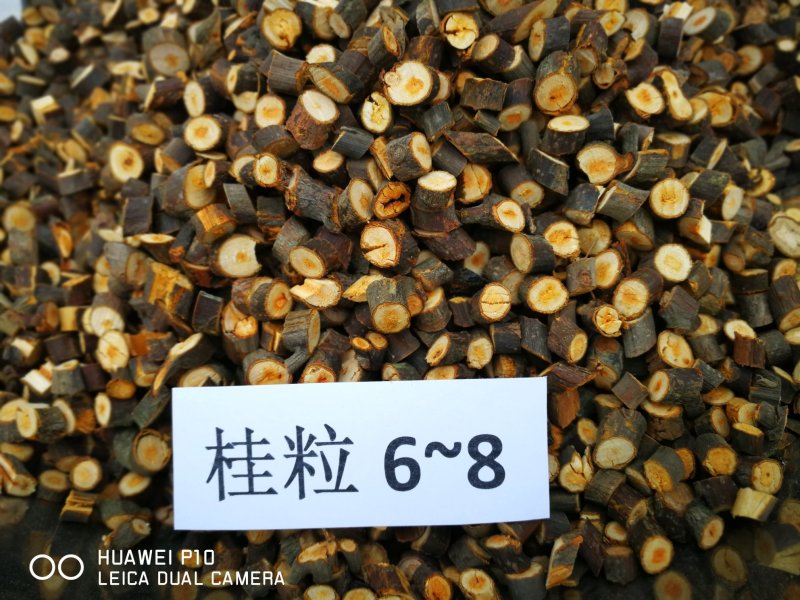 肉桂之乡的桂枝（各种规格）
