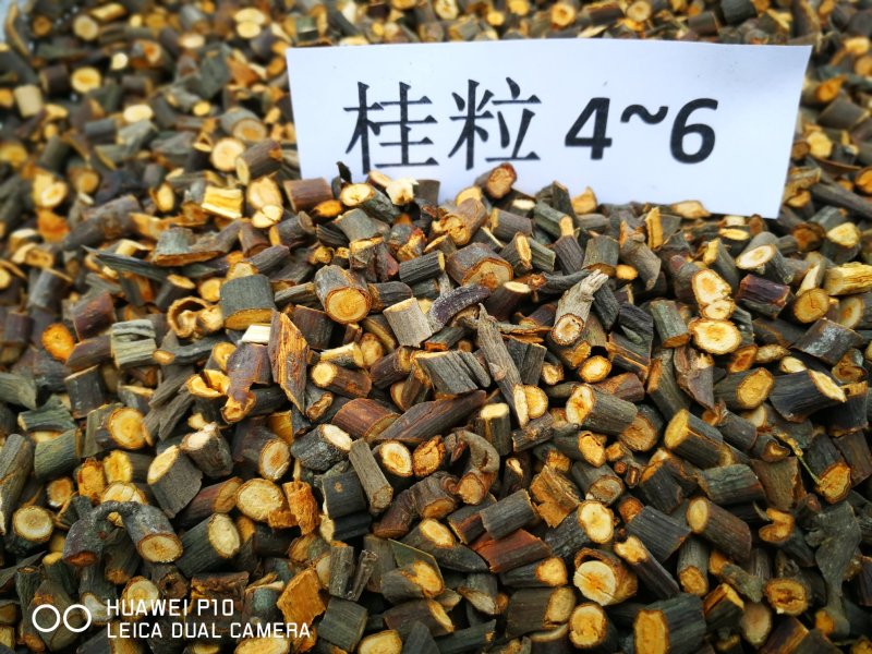 肉桂之乡的桂枝（各种规格）
