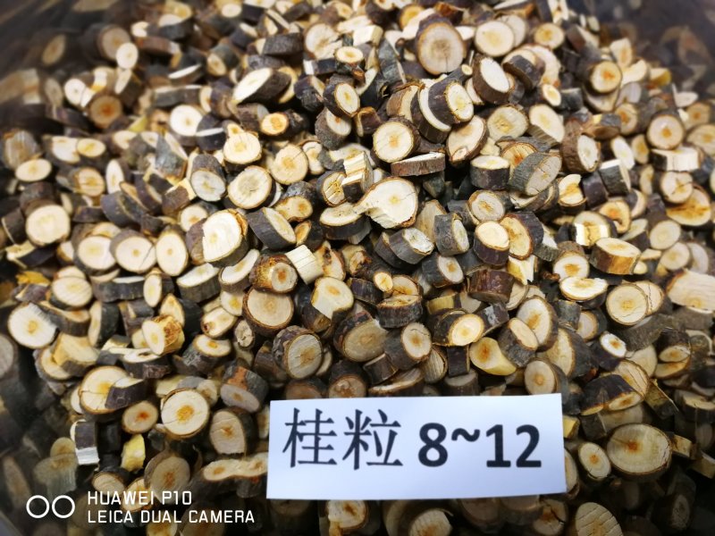 肉桂之乡的桂枝（各种规格）