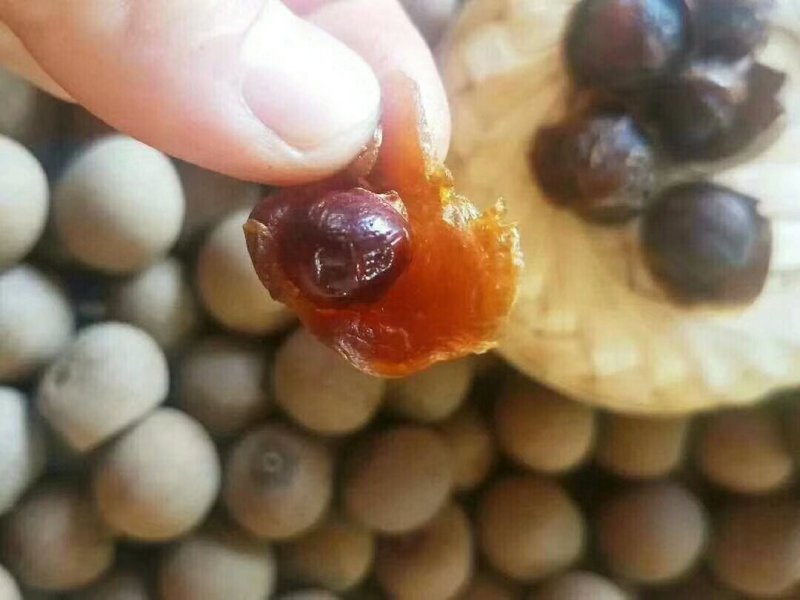 新货正宗莆田小核桂圆干肉厚薄壳龙眼肉干批发干货零食补