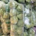 甘蓝绿甘蓝精品大头菜