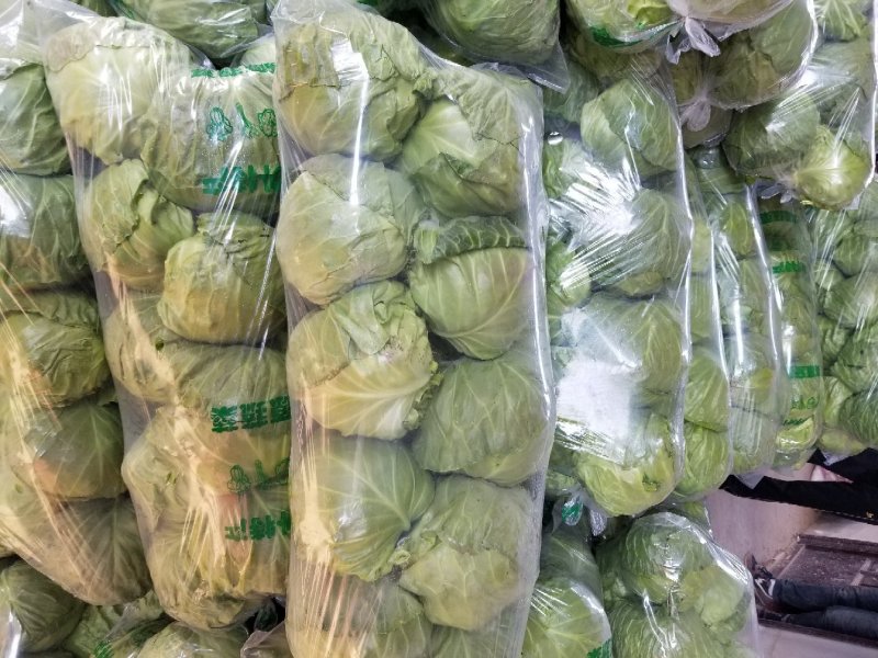 甘蓝绿甘蓝精品大头菜
