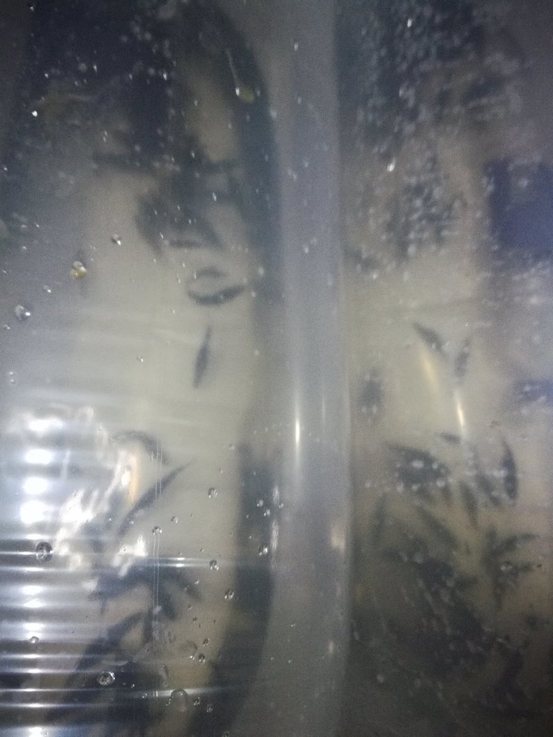 桂鱼苗桂花鱼苗场斑桂鱼苗桂花鱼苗场桂花鱼