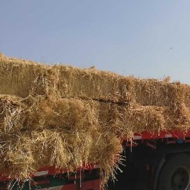 出售大量半成品草料～成品草料各种规格草料齐全