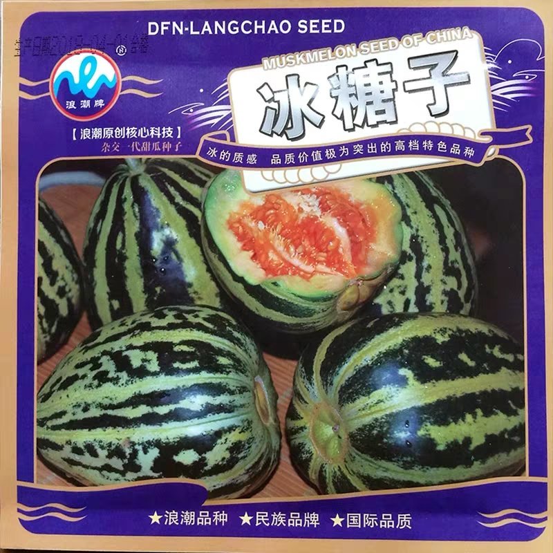 早熟高产超特甜冰糖子甜瓜种籽酥脆薄皮四季苗