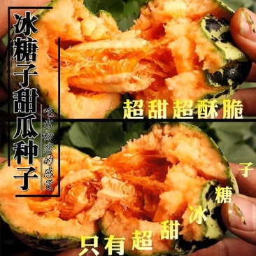 早熟高产超特甜冰糖子甜瓜种籽酥脆薄皮四季苗