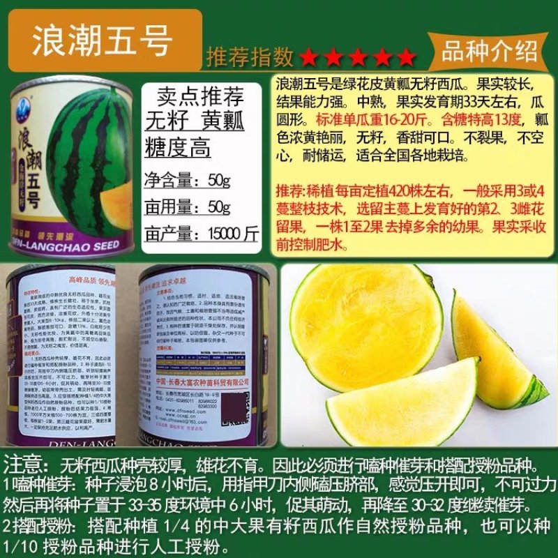 黑皮黄瓤花海南西瓜种子8424小礼品红肉无籽西瓜种籽懒汉