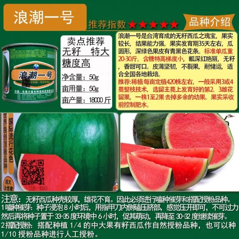 黑皮黄瓤花海南西瓜种子8424小礼品红肉无籽西瓜种籽懒汉