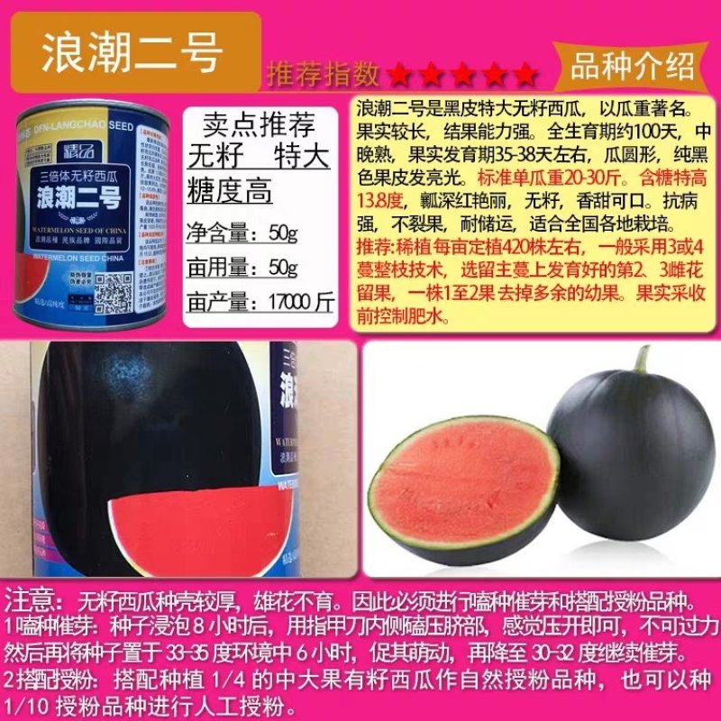 黑皮黄瓤花海南西瓜种子8424小礼品红肉无籽西瓜种籽懒汉