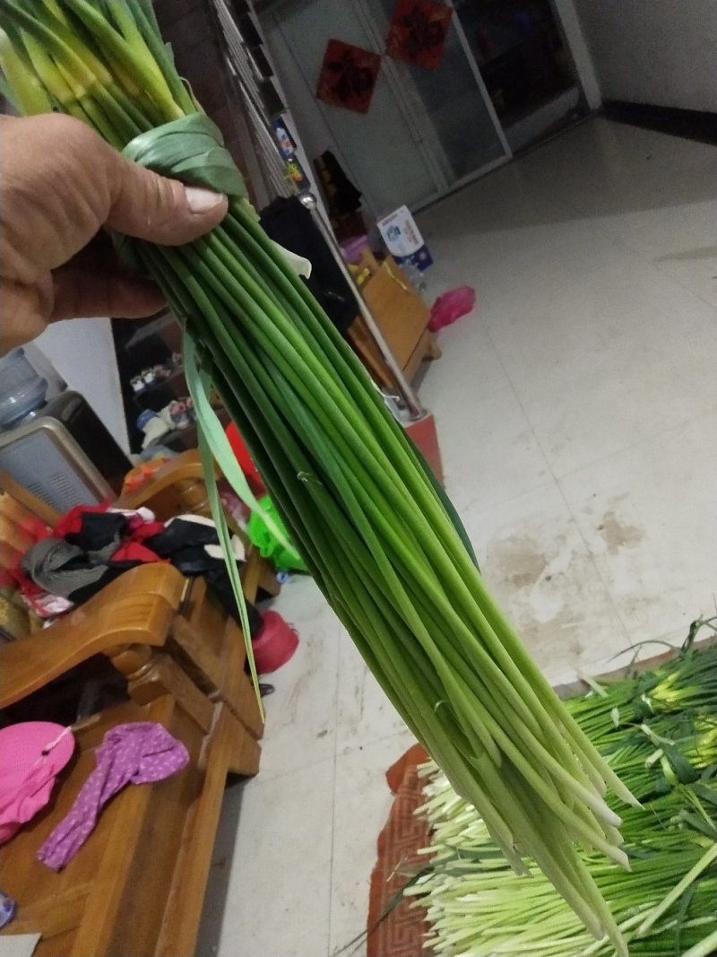 蒜苔