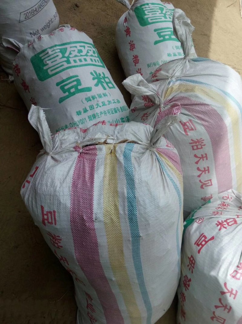 芦笋苗芦笋根白芦笋青芦笋基地直发，全程技术指导一件代发