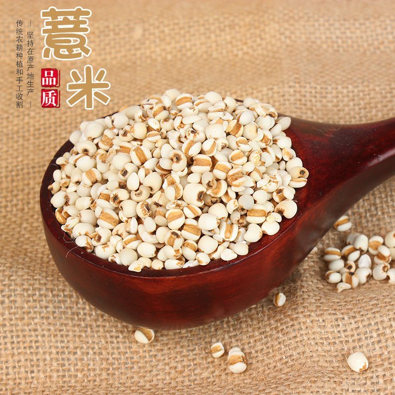 新鲜贵州小薏米1斤