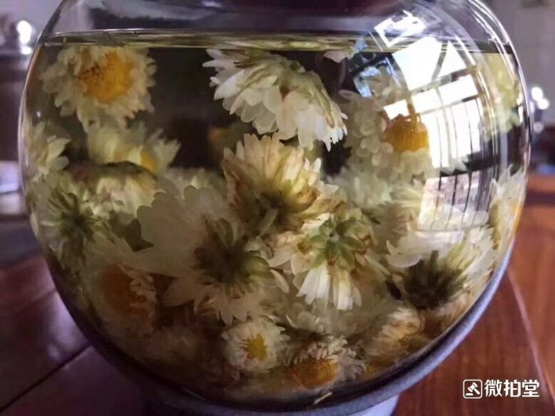 产地直销菊花茶胎菊散装罐装