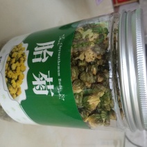 产地直销菊花茶胎菊散装罐装