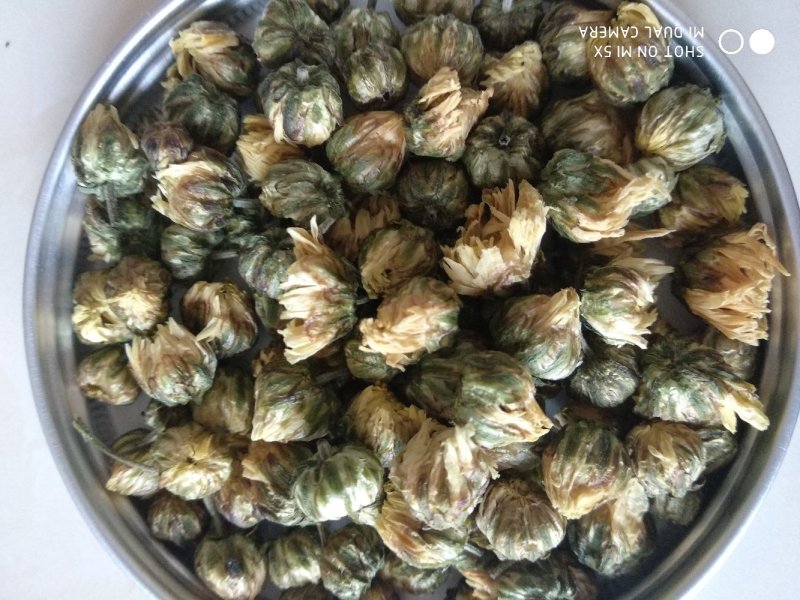 产地直销菊花茶胎菊散装罐装