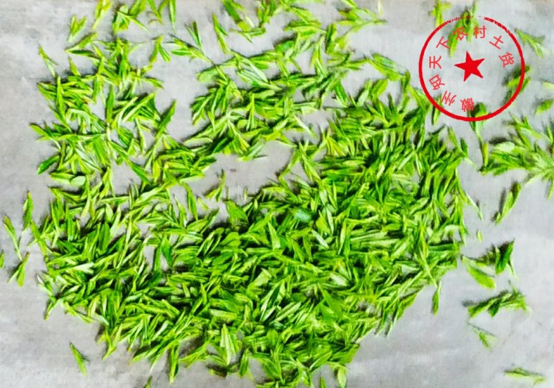 绿茶黄山毛峰