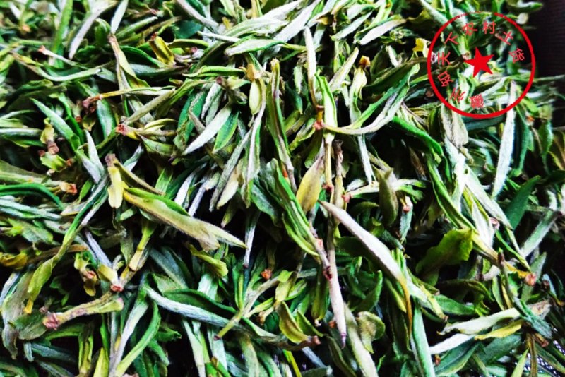绿茶黄山毛峰