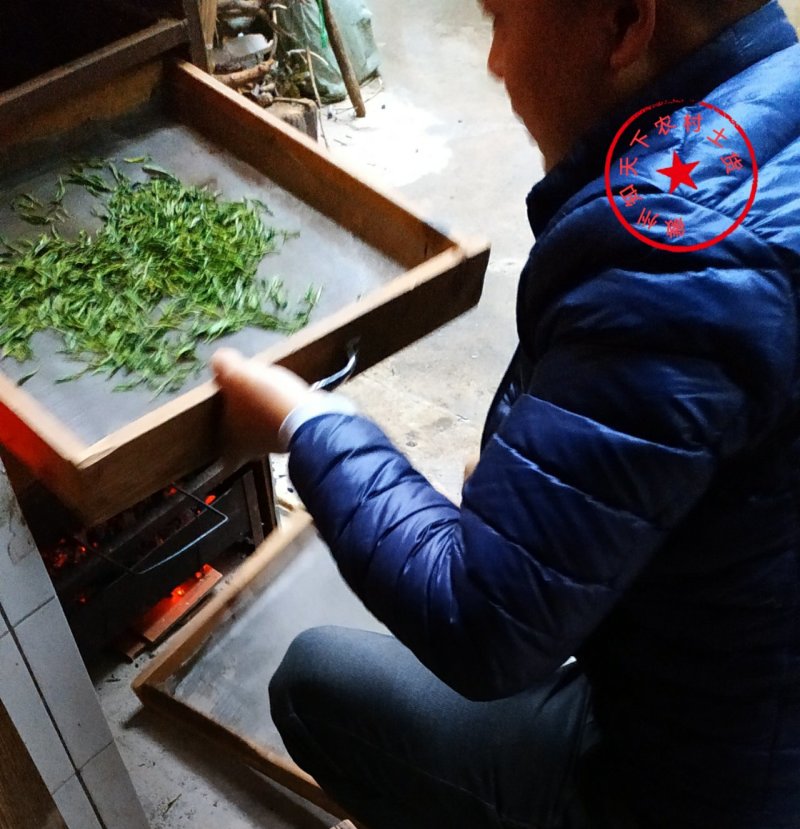 绿茶黄山毛峰