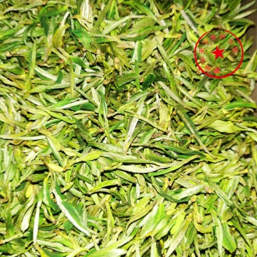 绿茶黄山毛峰