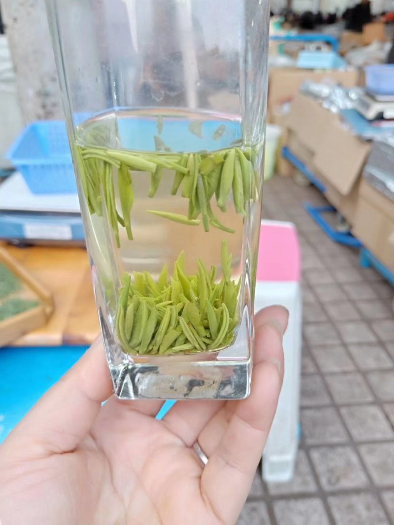 竹叶青
